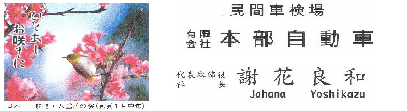 motobub.PNG